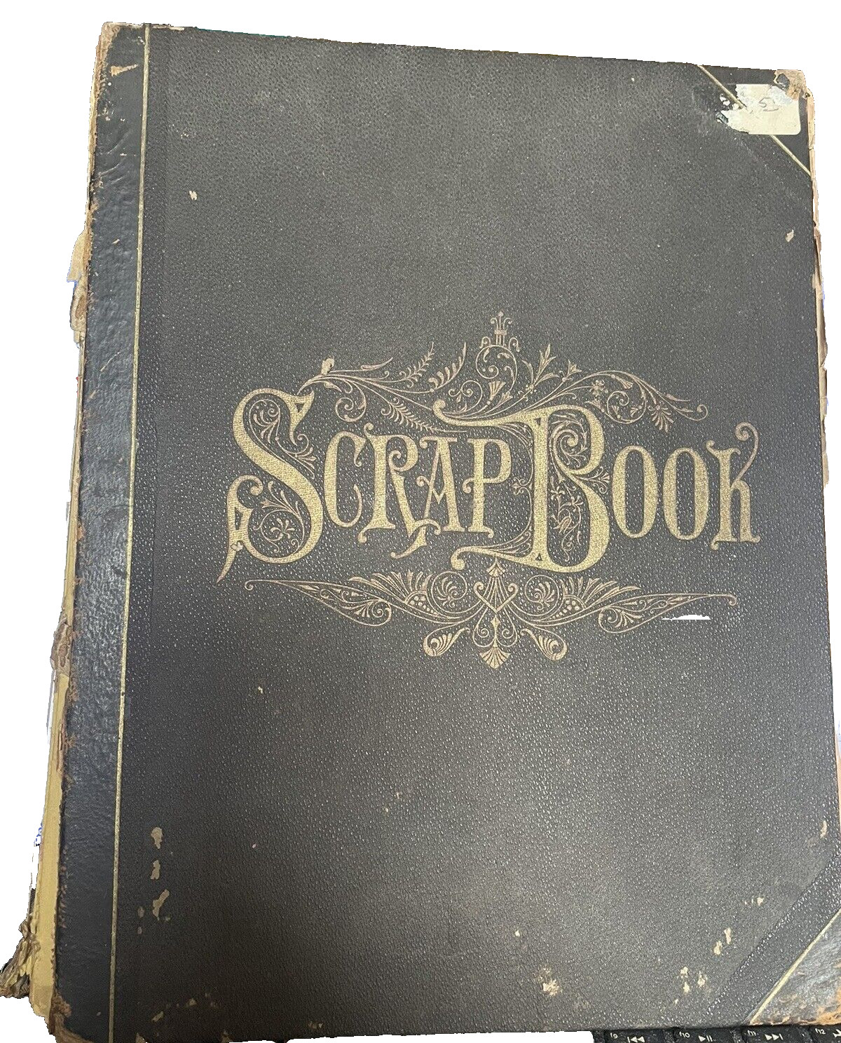 Antique Scrapbook Album Art Clippings 1800's 1900's Illust Engravings 65+ pages