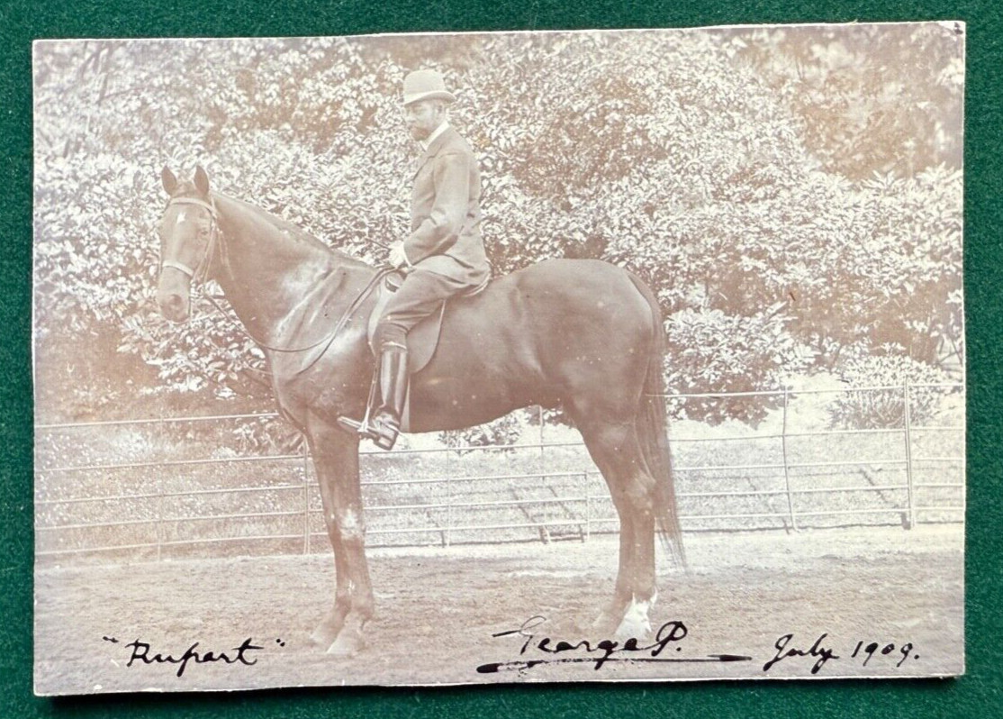 Antique Royal Signed Photo King George V as Prince of Wales on his Horse Rupert