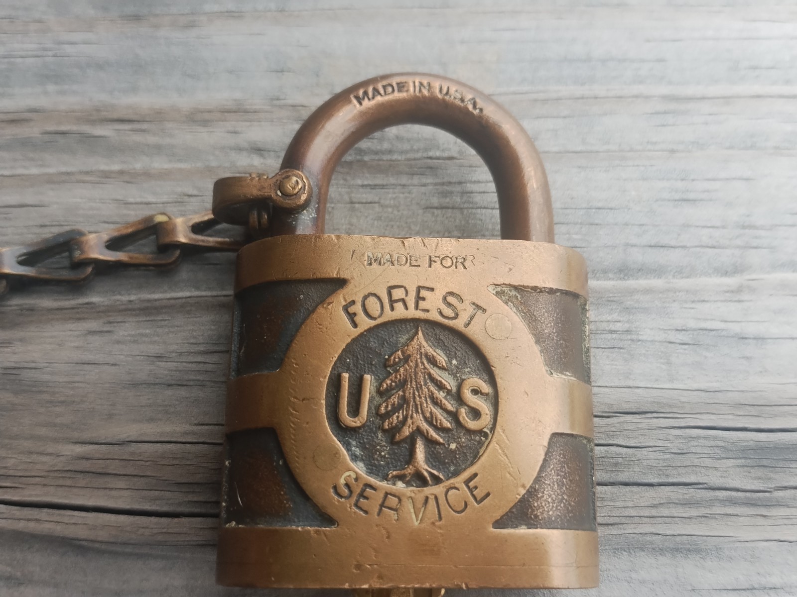 Vintage US Forest Service Yale Pine Tree Brass Lock with Key. Works Good