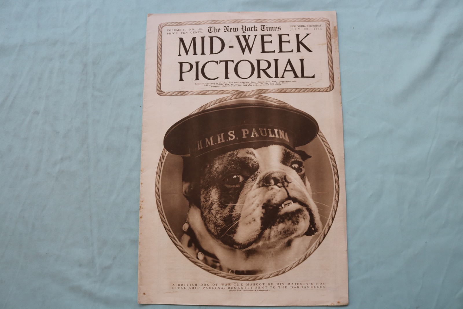 1915 JULY 22 NEW YORK TIMES MID-WEEK PICTORIAL - A BRITISH DOG OF WAR - NP 9146