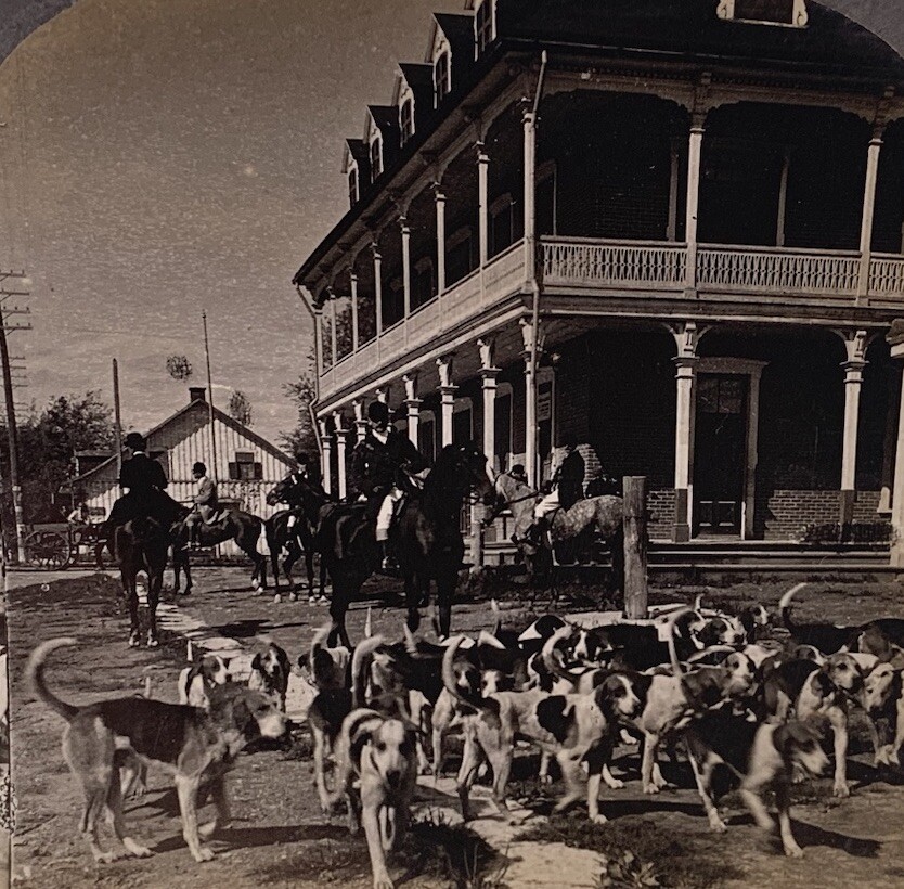 Antique Montreal Hunting Club Hound Dogs Ready to Hunt Stereoview Photo Canada Antique Montreal Hunting Club Hound Dogs Ready to Hunt Stereoview Photo Canada