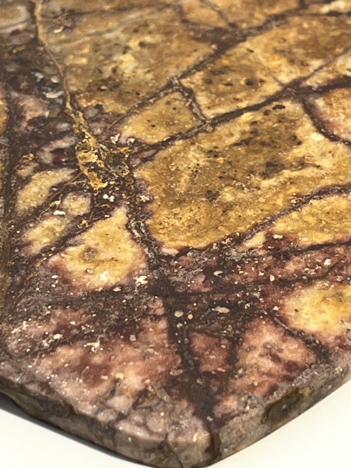Brecciated Jasper Polished Slab w/Mookaite Colors & Stromalite Inclusions