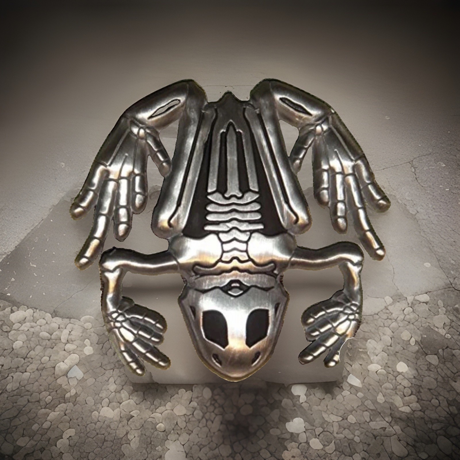 Navy Seals Bone Skull Skeleton Frog Seal Team 6 ChallengeCoin DEVGARU NUMBERED