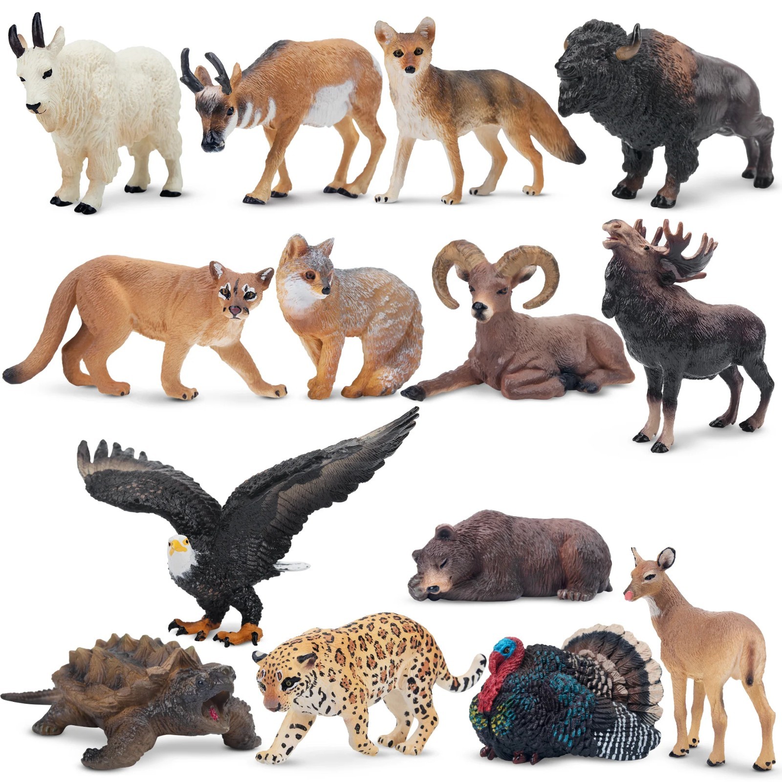 Toymany 14pcs Mini North American Animal Figurine Realistic Collectible  Toy Set