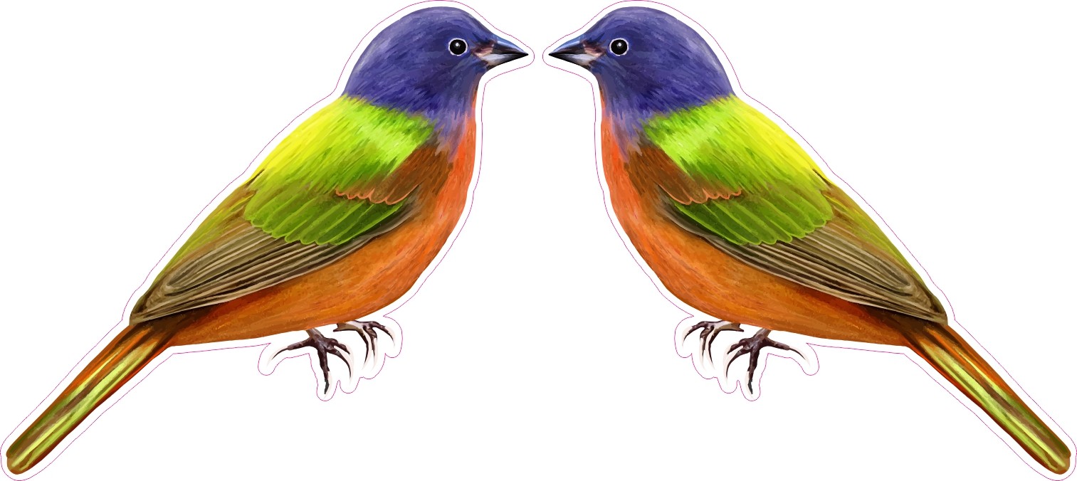 StickerTalk Mirrored Painted Bunting Bird Vinyl Sticker 2.5x2.25 inches