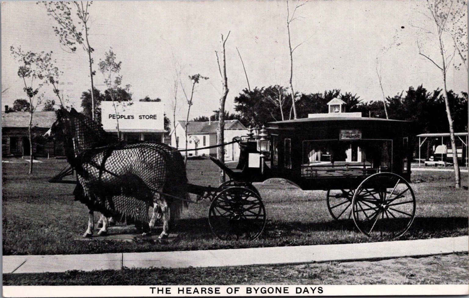 Harold Warp\'s Pioneer Village Minden NE 1890 Horse Drawn Hearse Postcard