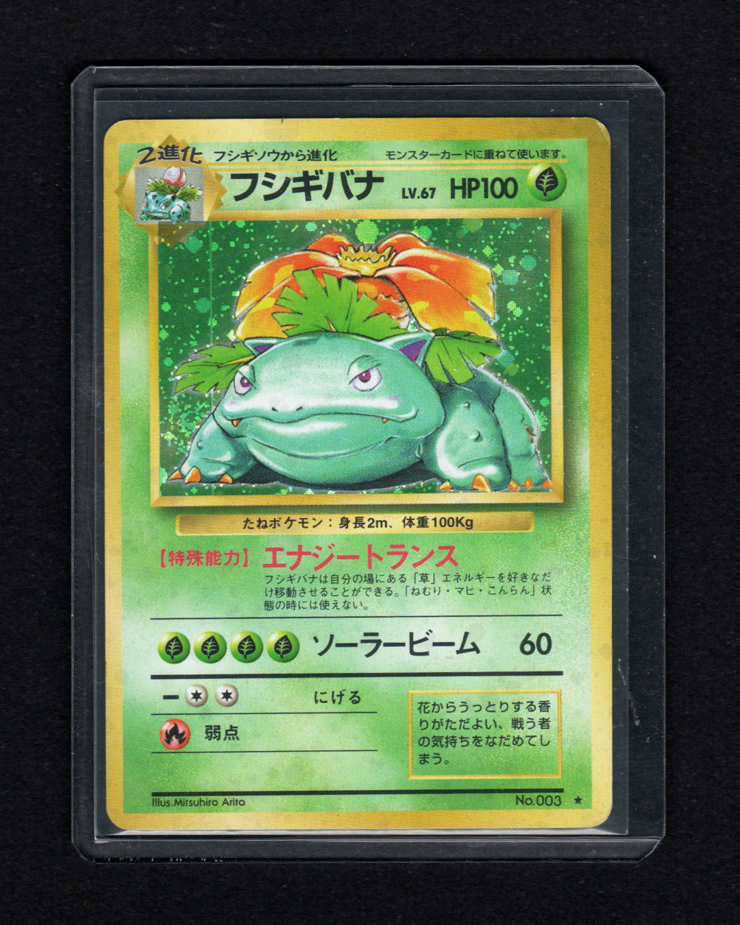 〔 L / P + 〕1996 Venusaur Level 67 (No. 003) Japanese Pokemon Base Set 〔 L / P + 〕1996 Venusaur Level 67 (No. 003) Japanese Pokemon Base Set