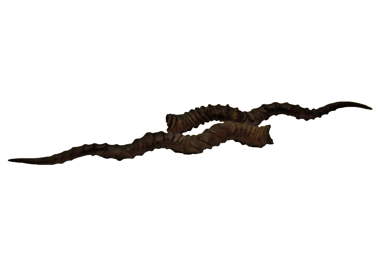 Antique Indian Fakir\'S Horns Maduvu Parrying Stabbing Weapons Blackbuck Dagger\