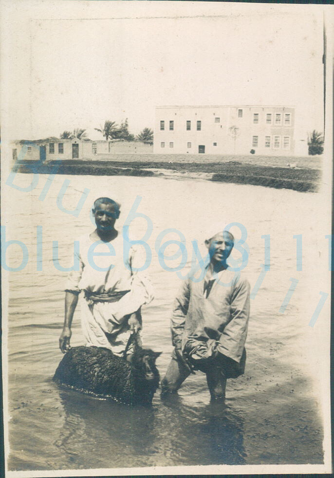 WW1 1/11 Btn Finsbury Rifles Soldier took photo locals wading in river Egypt