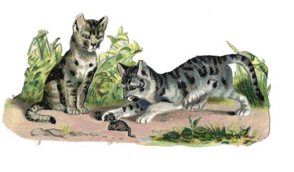 1888 Chromo decoupis, VICTORIAN CAT & MOUSE GAMES Antique Die-Cut Scrap, 4 1888 Chromo decoupis, VICTORIAN CAT & MOUSE GAMES Antique Die-Cut Scrap, 4