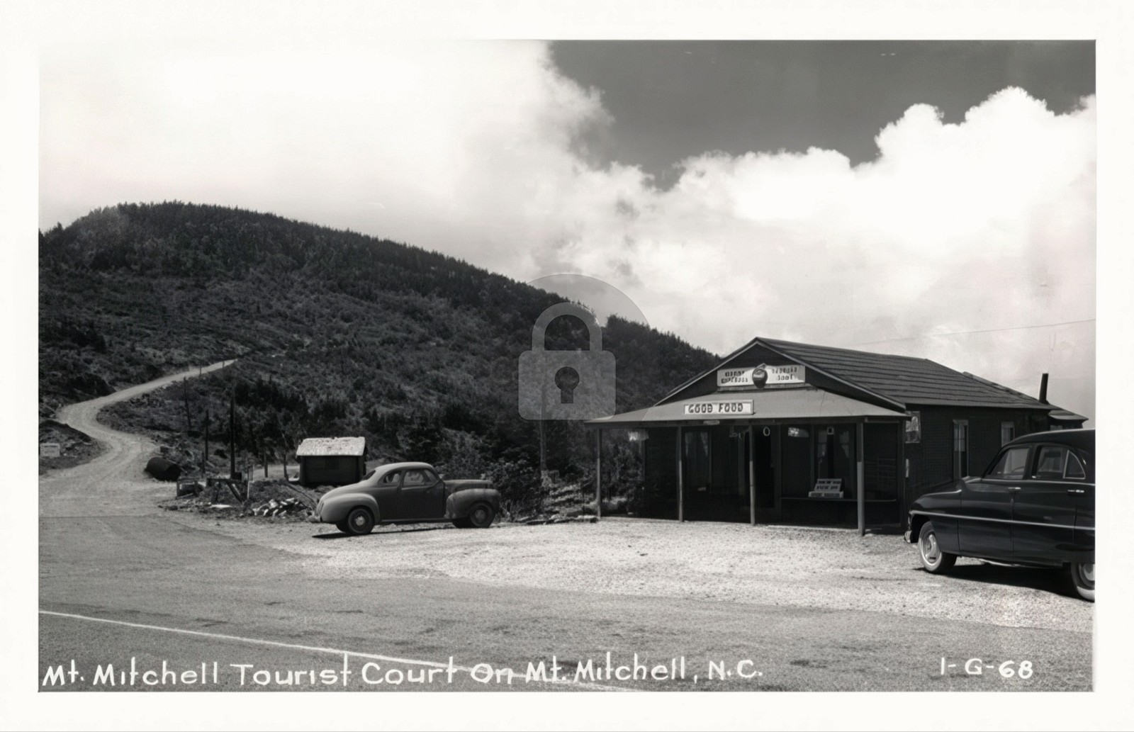 Mount Mitchell NC Mt. Mitchell Tourist Court Winding Road RPPC Postcard COPY