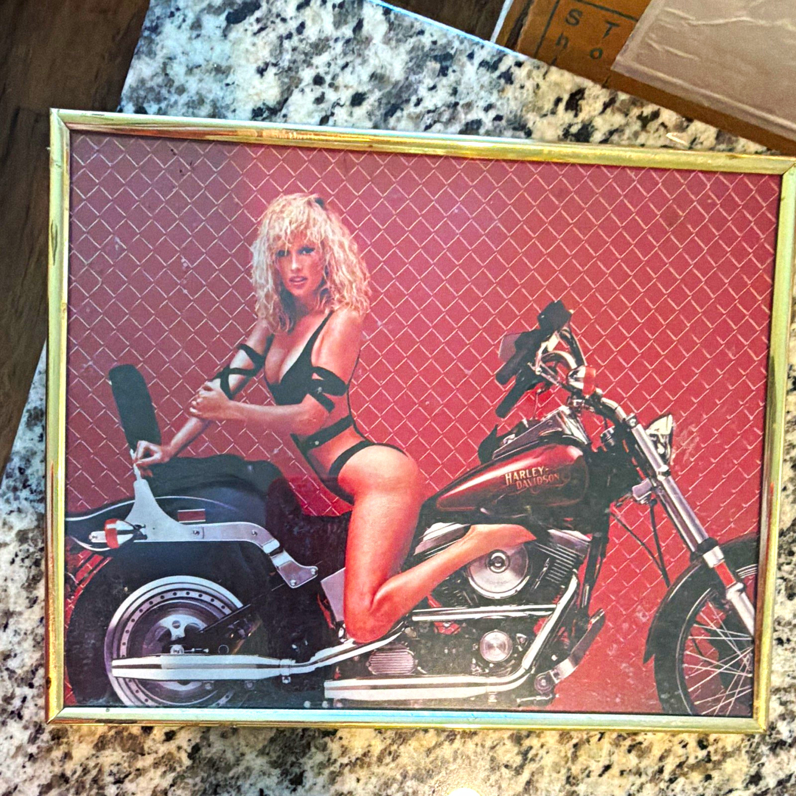 Harley-Davidson Framed Motorcycle Pin-Up Style Poster Print Image