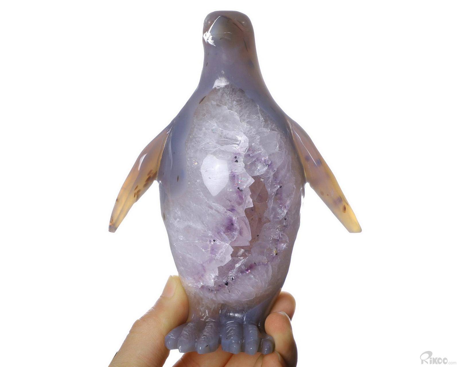 6.1\