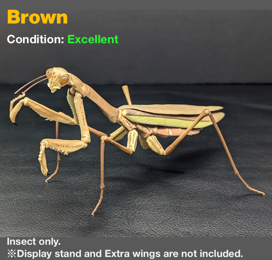 Bandai Gashapon Japanese Giant Mantis Advanced Figure 5.9\ Bandai Gashapon Japanese Giant Mantis Advanced Figure 5.9\