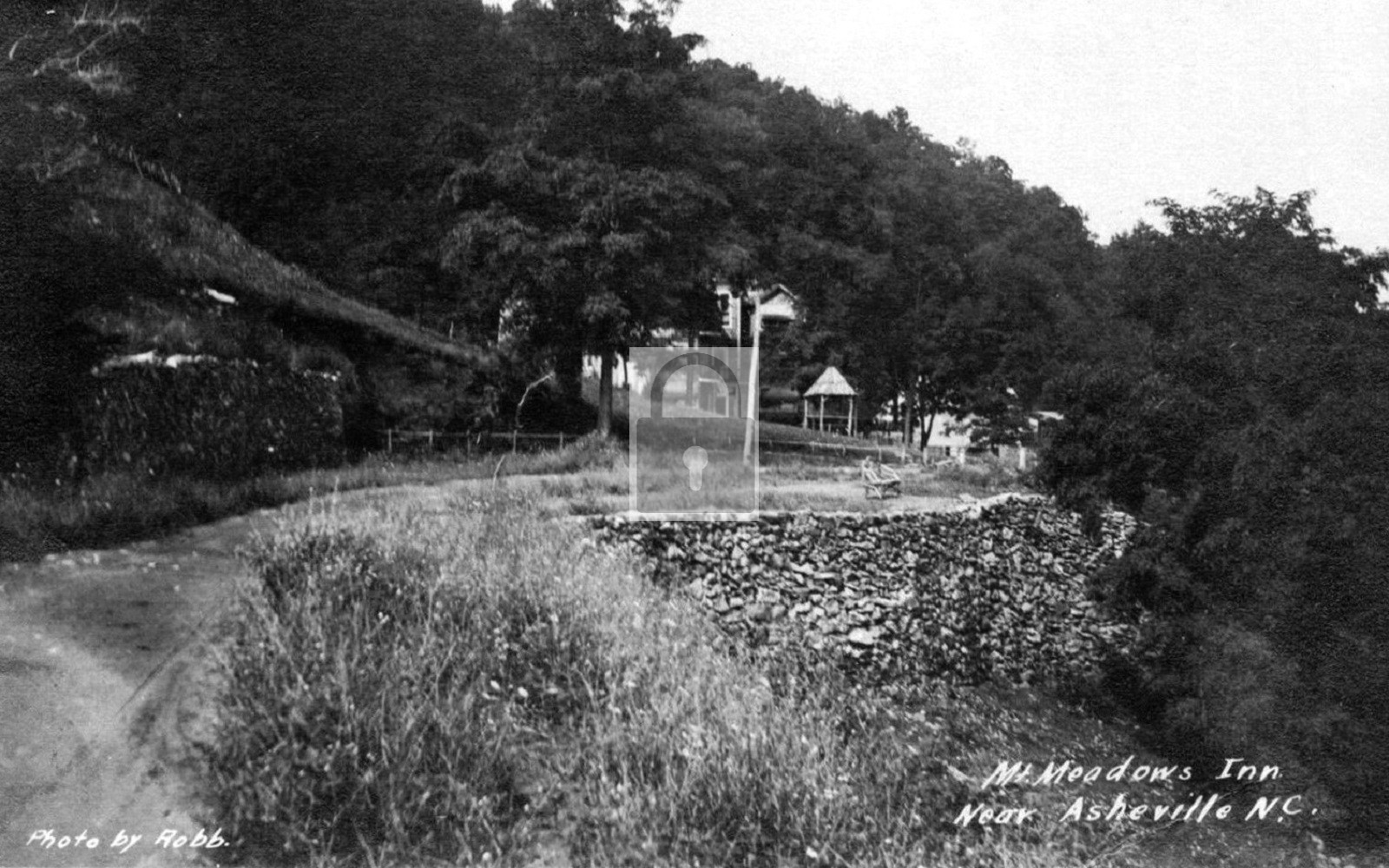Mt Meadows Inn Asheville North Carolina NC - Reprint