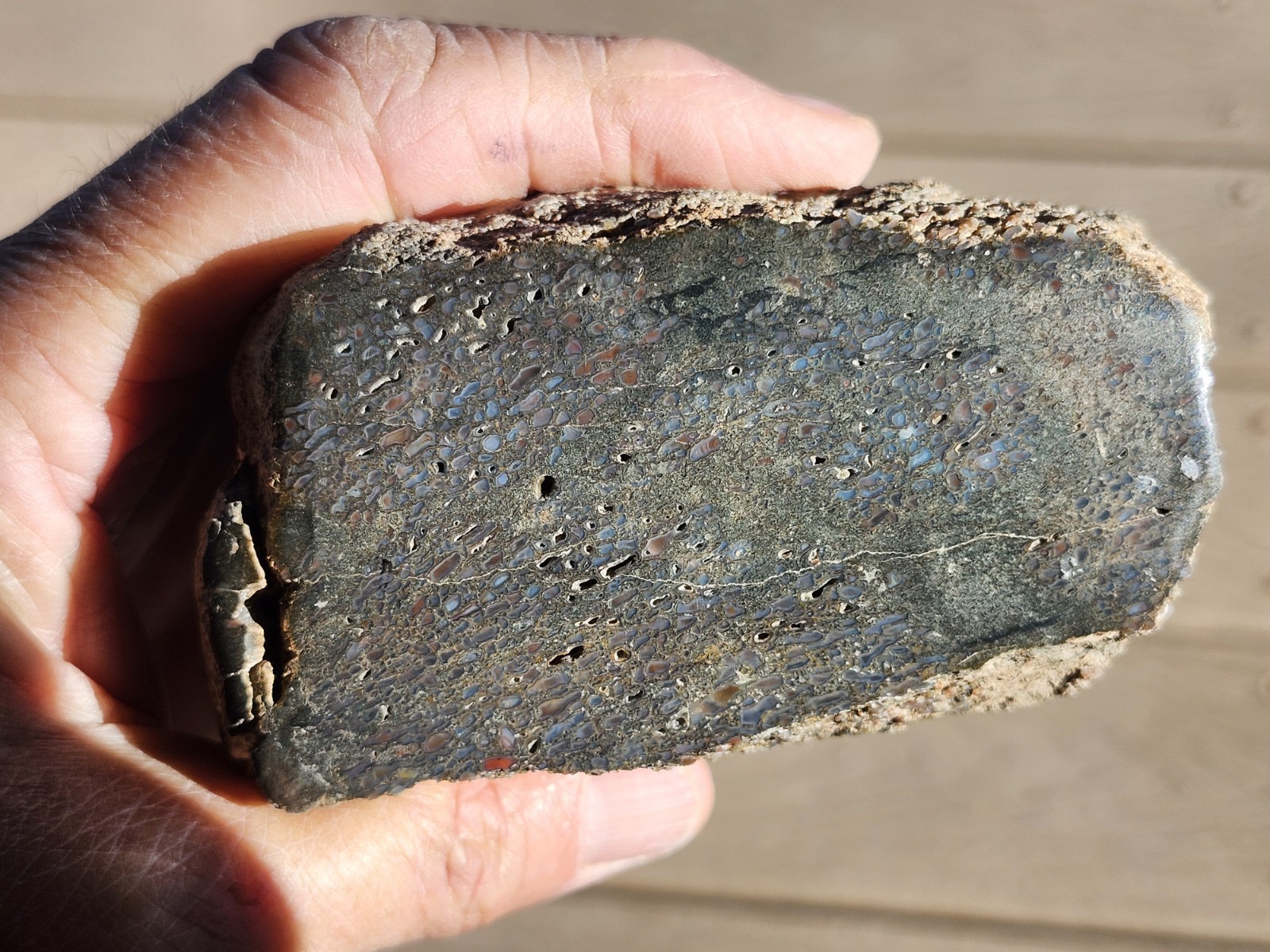 Dinosaur Gem Bone Chunk. Blues And Greens. Great As A Sample Or To Cut Into Cabs