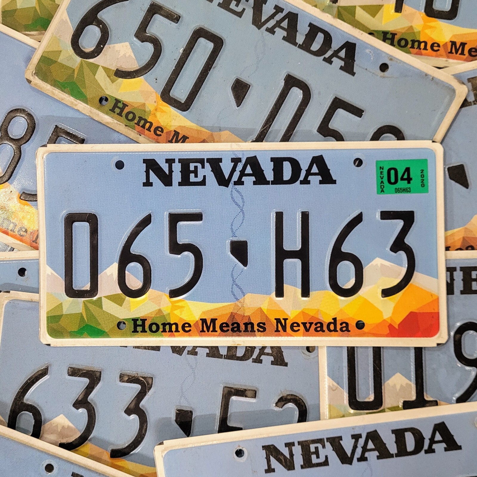Nevada License Plate 🔥FREE📬🔥 1 Real Random Home Means Nevada NV Tag