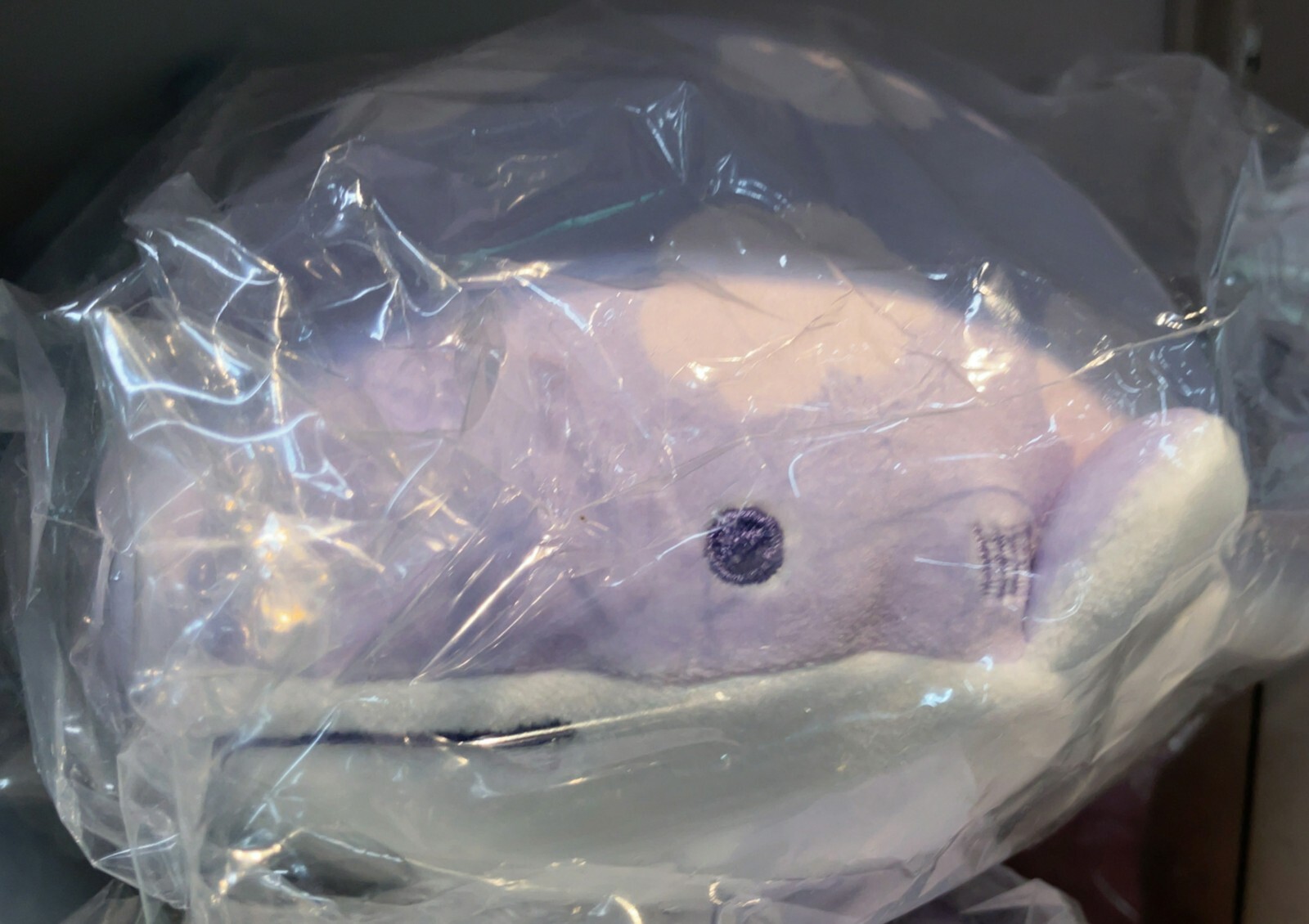 San-X Jinbesan (Whale Shark) Super Mochimochi Stuffed Toy S (Shark) Dull Color