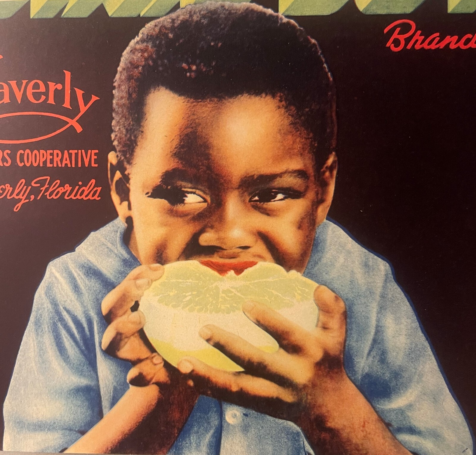 Vintage 1930s Dixie Boy Crate Label, Waverly, FL, Adorable Child