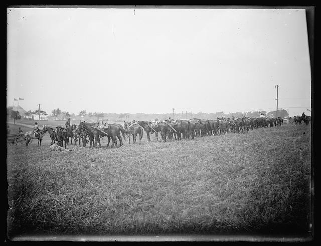 Photo:U.S. Cavalry
