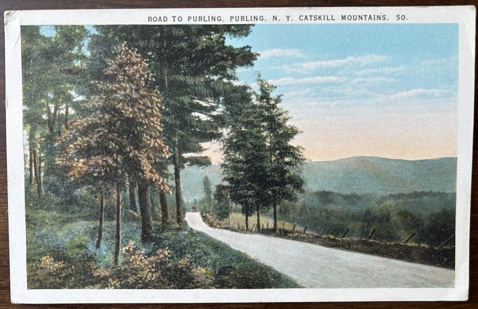 CATSKILL MOUNTAINS MTS, NY~Road to Purling, New York~1923 Postcard