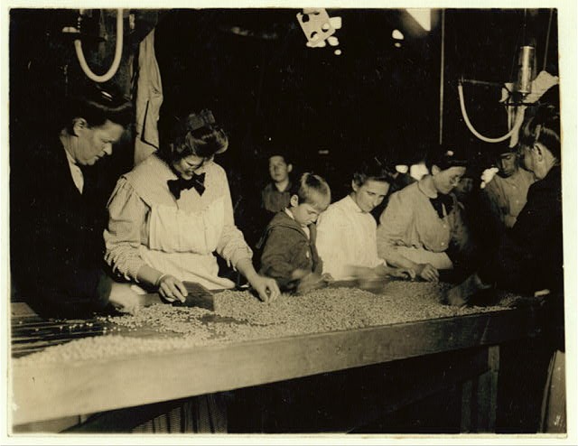 Photo:Seaford Delaware Ross Cannery Pea Sorting Child Labor 1910