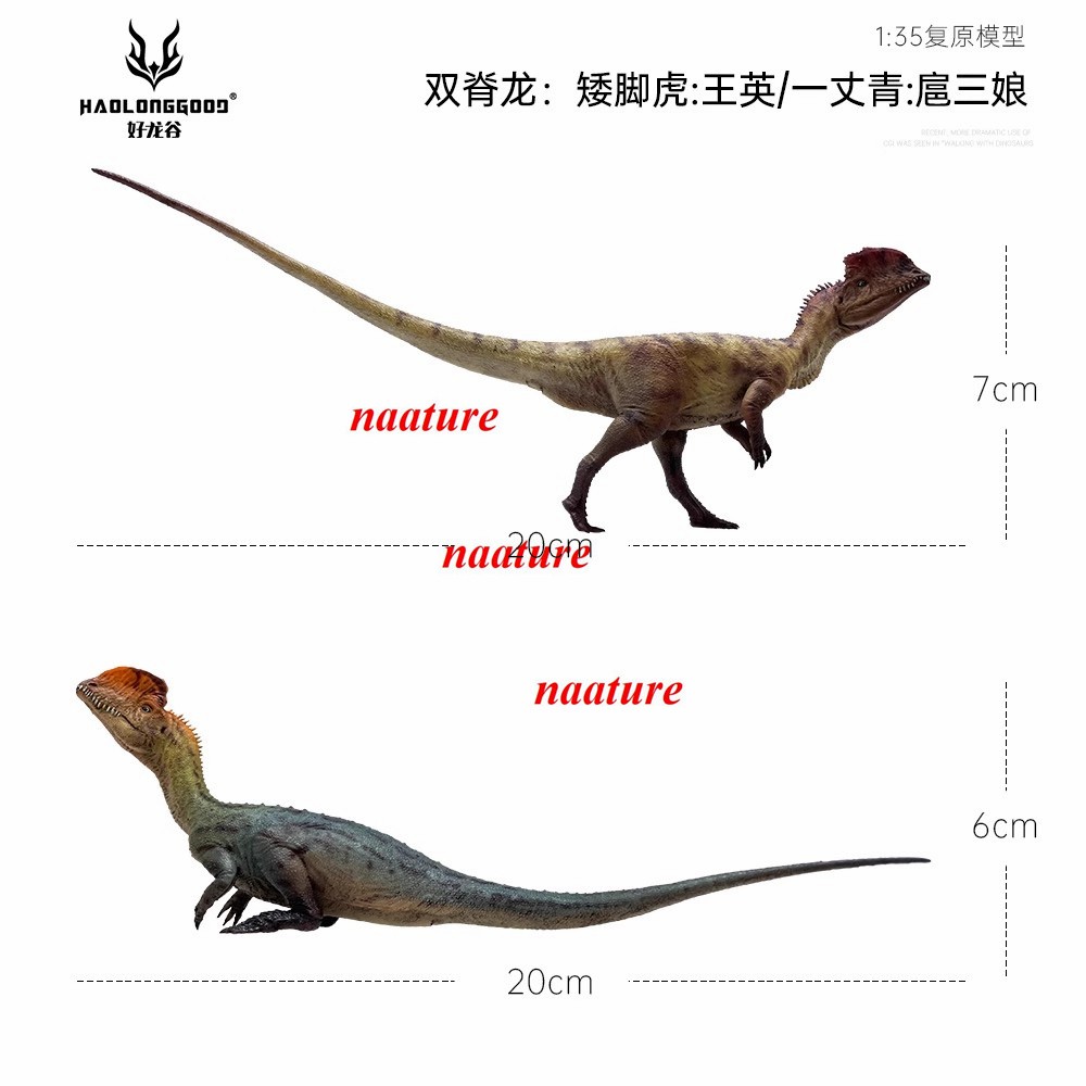 2pcs Haolonggood Dilophosaurus Dinosaur 1/35 Figurine Animal Models Display 