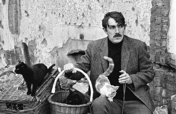 British comedian and satirist Peter Cook with his cats in a basket Old Photo
