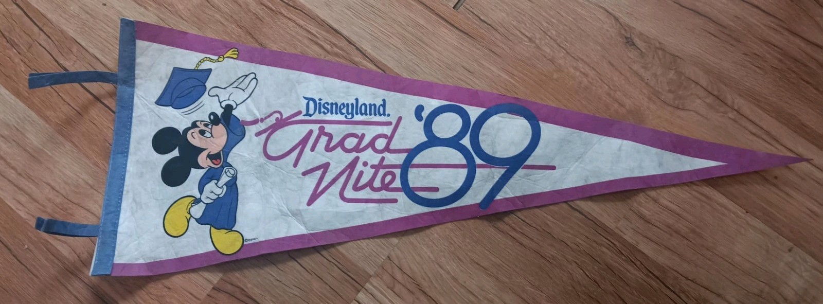 Vintage 1989 Disneyland Grad Nite Pennant Mickey Mouse Flag Souvenir Disney