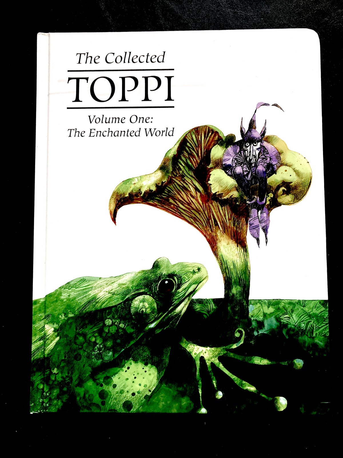 THE COLLECTED TOPPI  Vol. 1: The Enchanted World by Sergio Toppi (English)  HB
