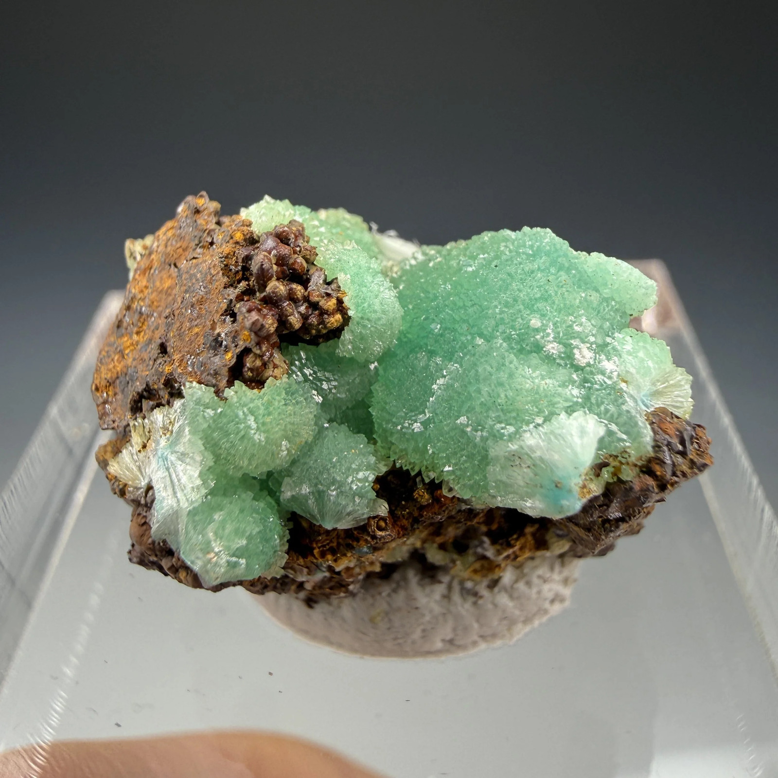 Cuprian Adamite, Gold Hill Mine, Tooele County, Utah, USA Cuprian Adamite, Gold Hill Mine, Tooele County, Utah, USA