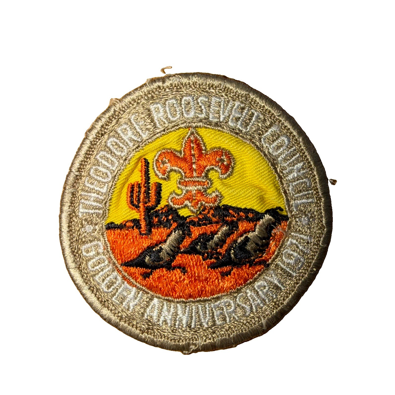 Vintage Boy Scout 1971 Theodore Roosevelt Council Golden Anniversary Patch
