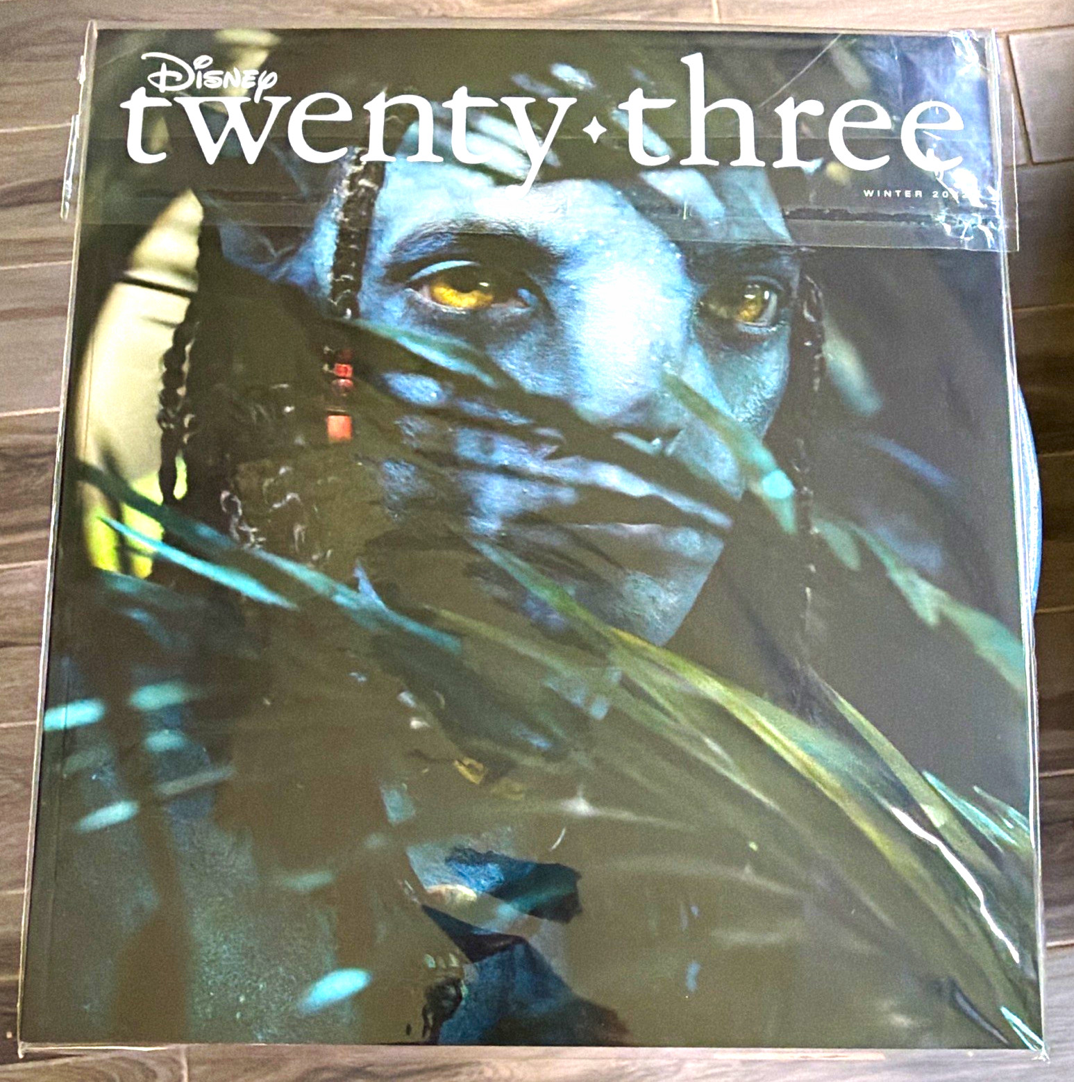 Disney D23 Winter 2022 Avatar: The Way of Water Cover Print/Poster