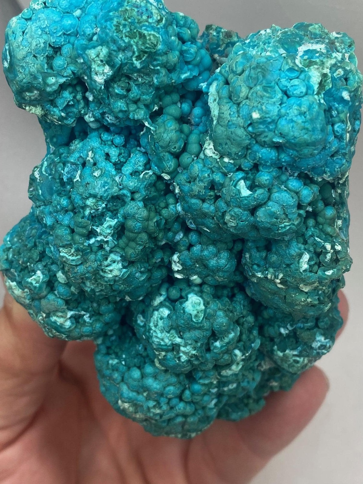 Gorgeous Blue Chrysocolla with Malachite Cluster