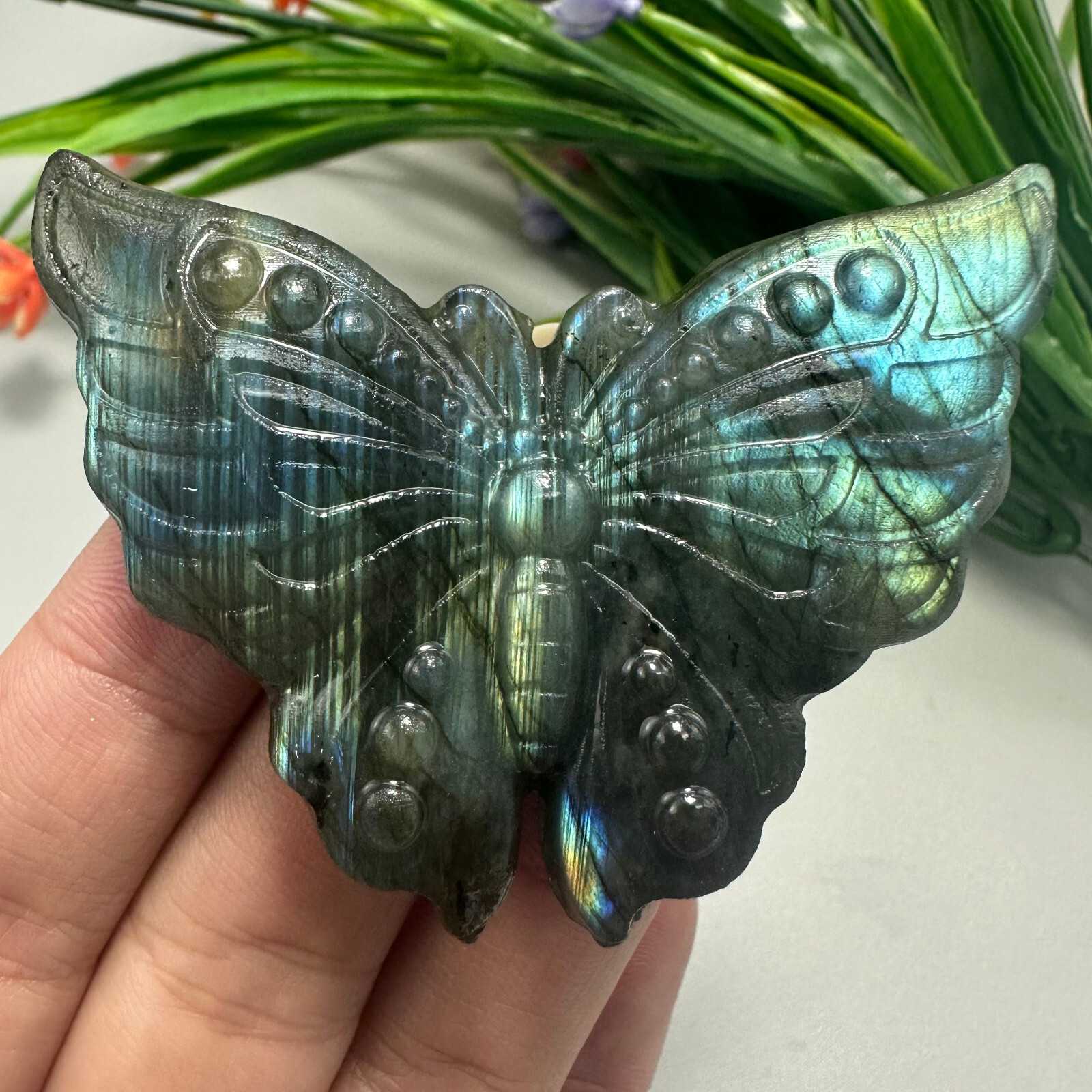 Natural Matt Surface Labradorite Butterfly Skull Quartz Crystal Reiki Healing 1p