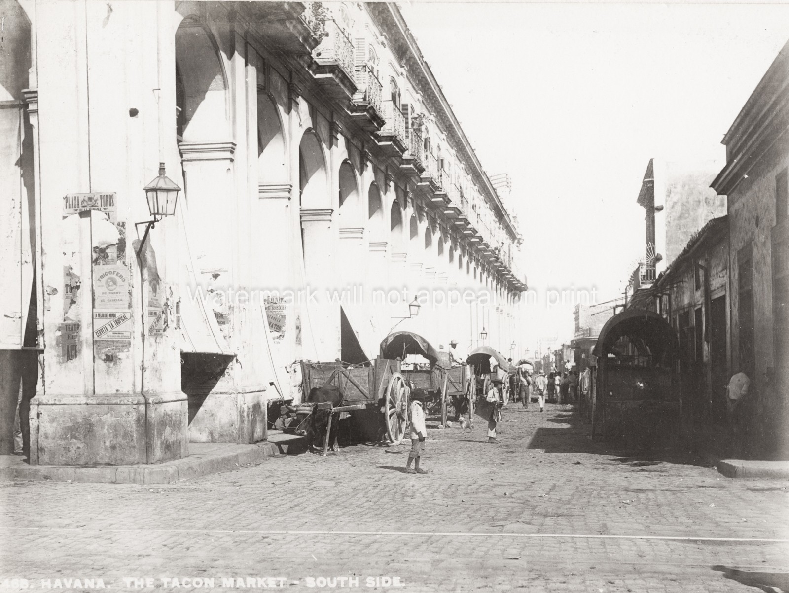 Havana Cuba Tacon Market Street Scene Colonnade Carts Vtg. Photo 19thC.