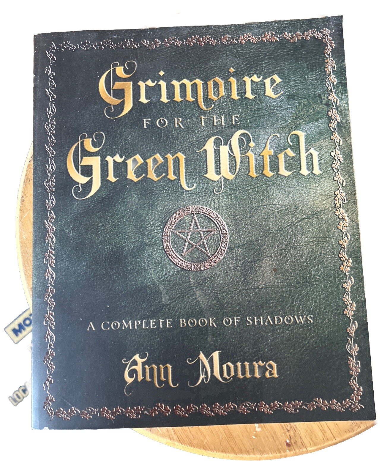 Grimoire of the Green Witch by Ann Moura NEW Paperback