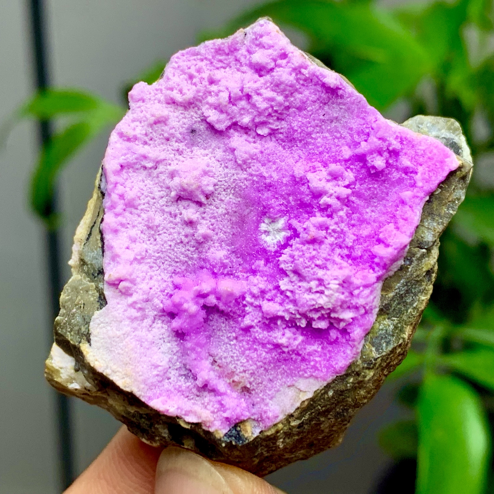 37G Natural Purple Pink Cobalt CobaltoCalcite Crystal Gemstone Rare Mineral