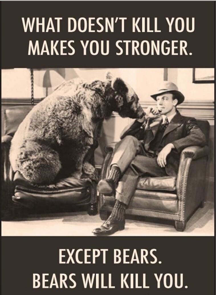 What Doesn’t Kill You Makes You Stronger,Except Bears. On A 2”x3”Fridge Magnet.