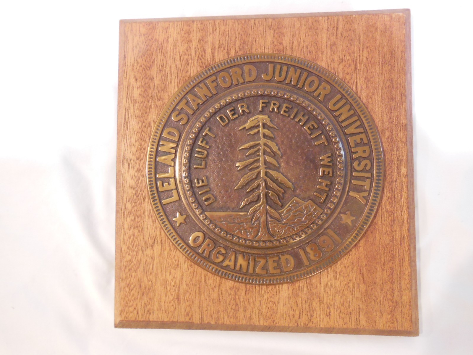 Stanford University Organized 1891 Solid Brass Wall Plaque