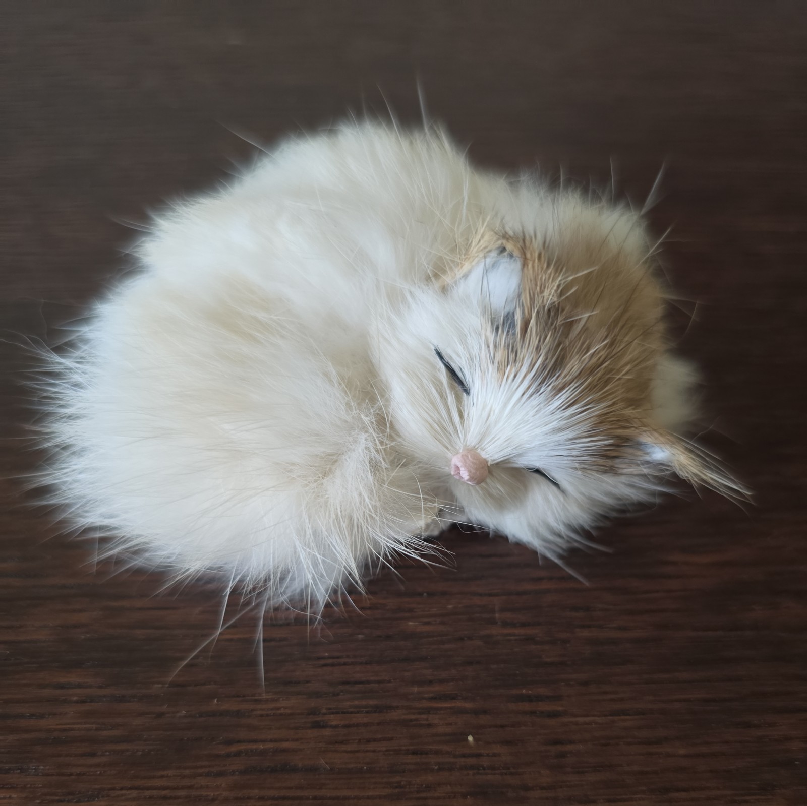 Vintage Fluffy Tabby 3\