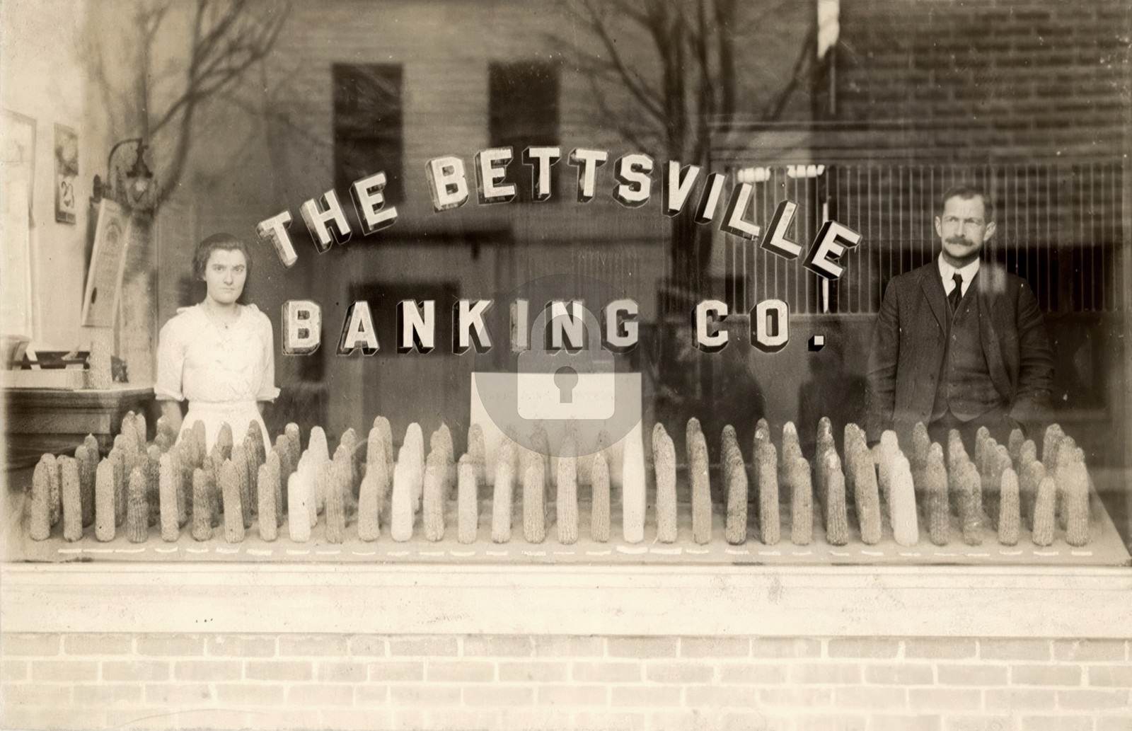 1910s Corn Belt Store Display Bettsville Ohio Bank RPPC Photo Postcard COPY