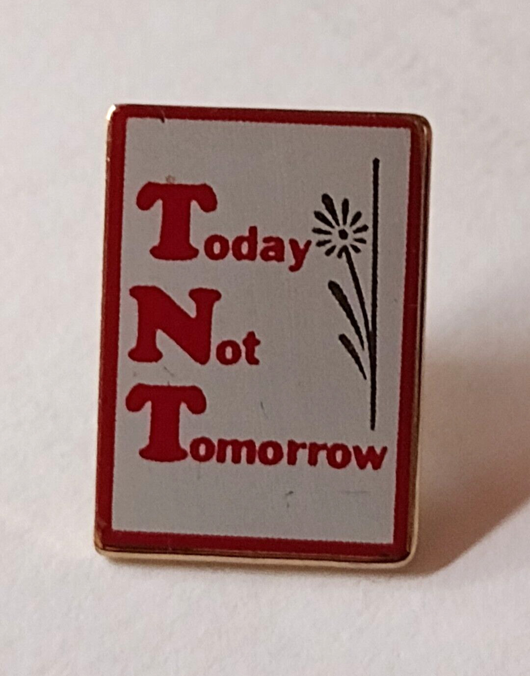 Today Not Tomorrow Lapel Pin