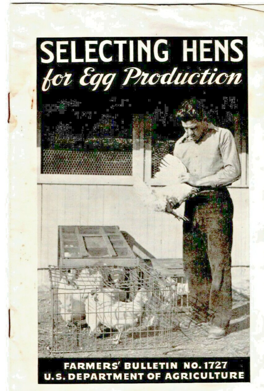 Vintage USDA Bulletin Selecting Hens For Egg Production c.1935 by J P Quinn