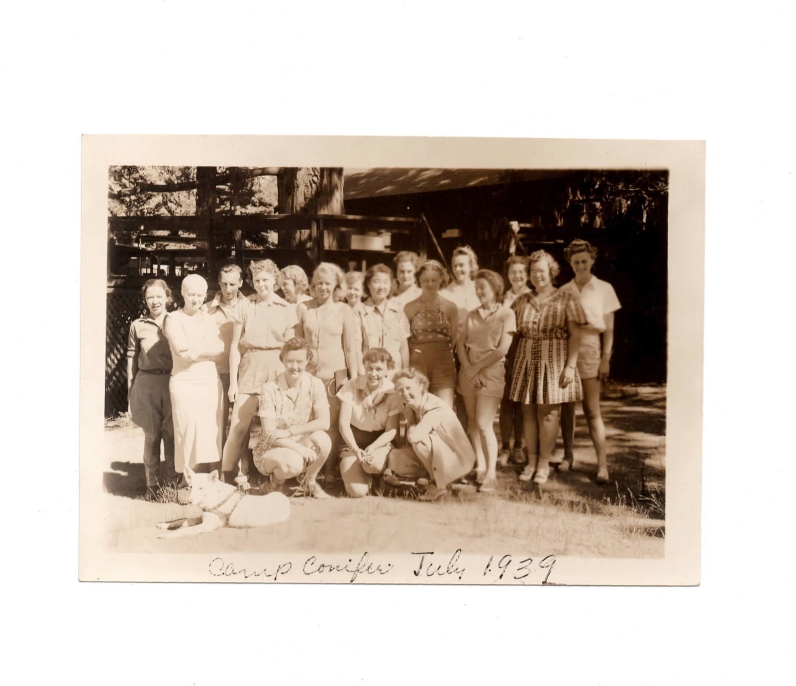 1939 Camp Conifer Dog Real Photo Woods Peaceful Trees Ladies 1930s VTG 
