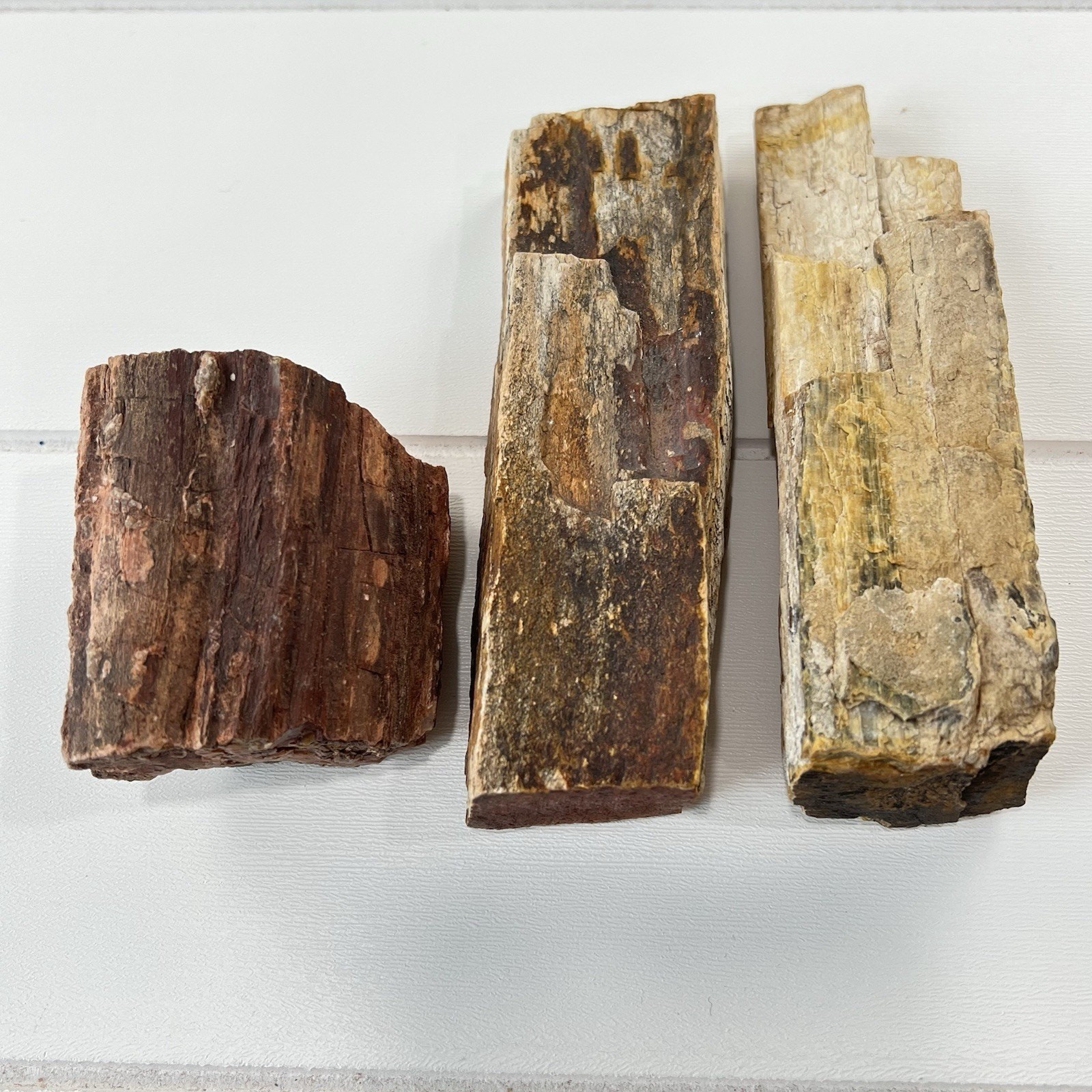Petrified Wood 3 Piece Lot Fossils