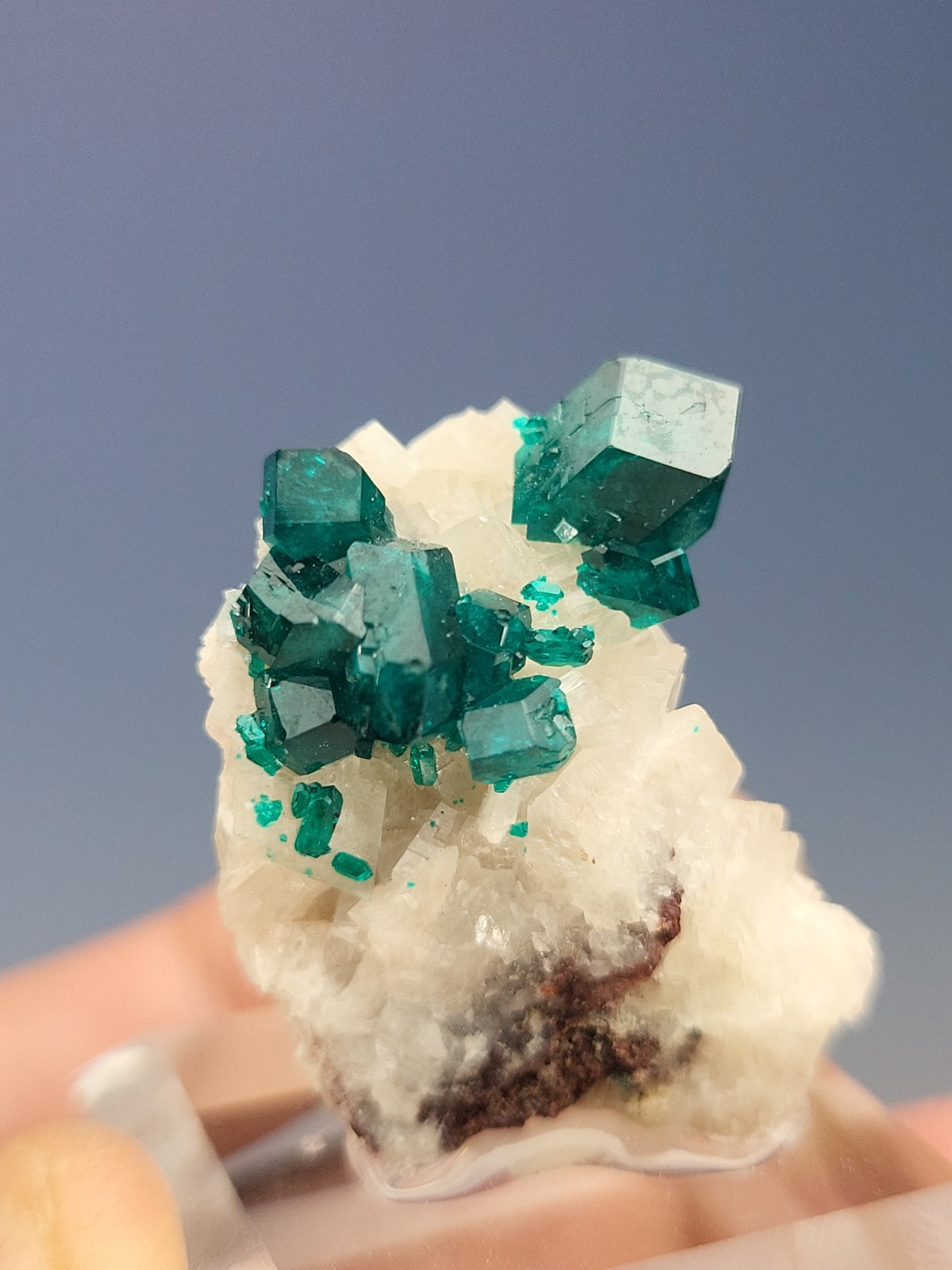 FANTASTIC Dioptase On Calcite. Tsumeb Mine, Namibia.