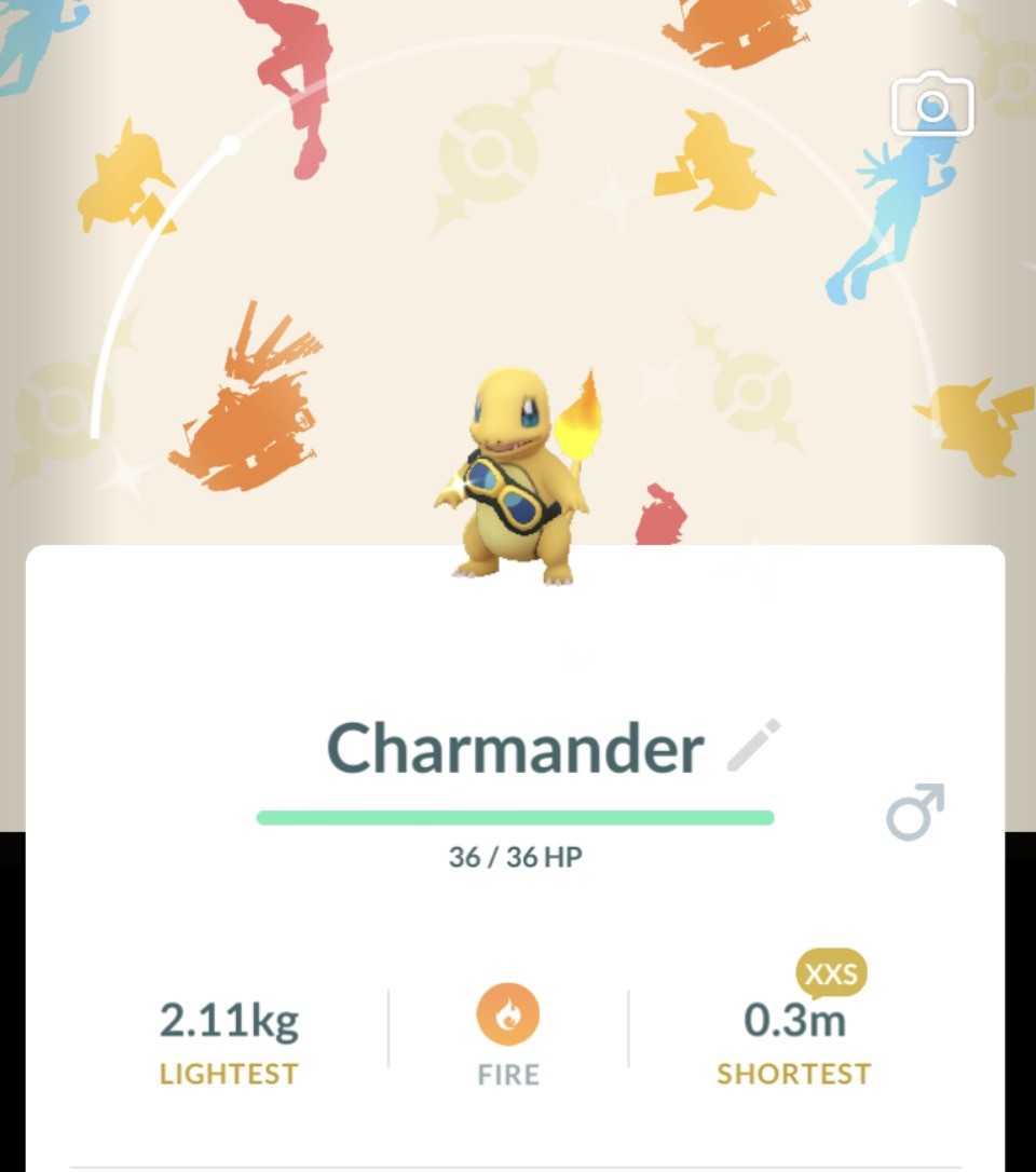 Pokémon Go-Shiny Charmander-✨wearing Friede's goggles with background ✨XXS✨TRADE