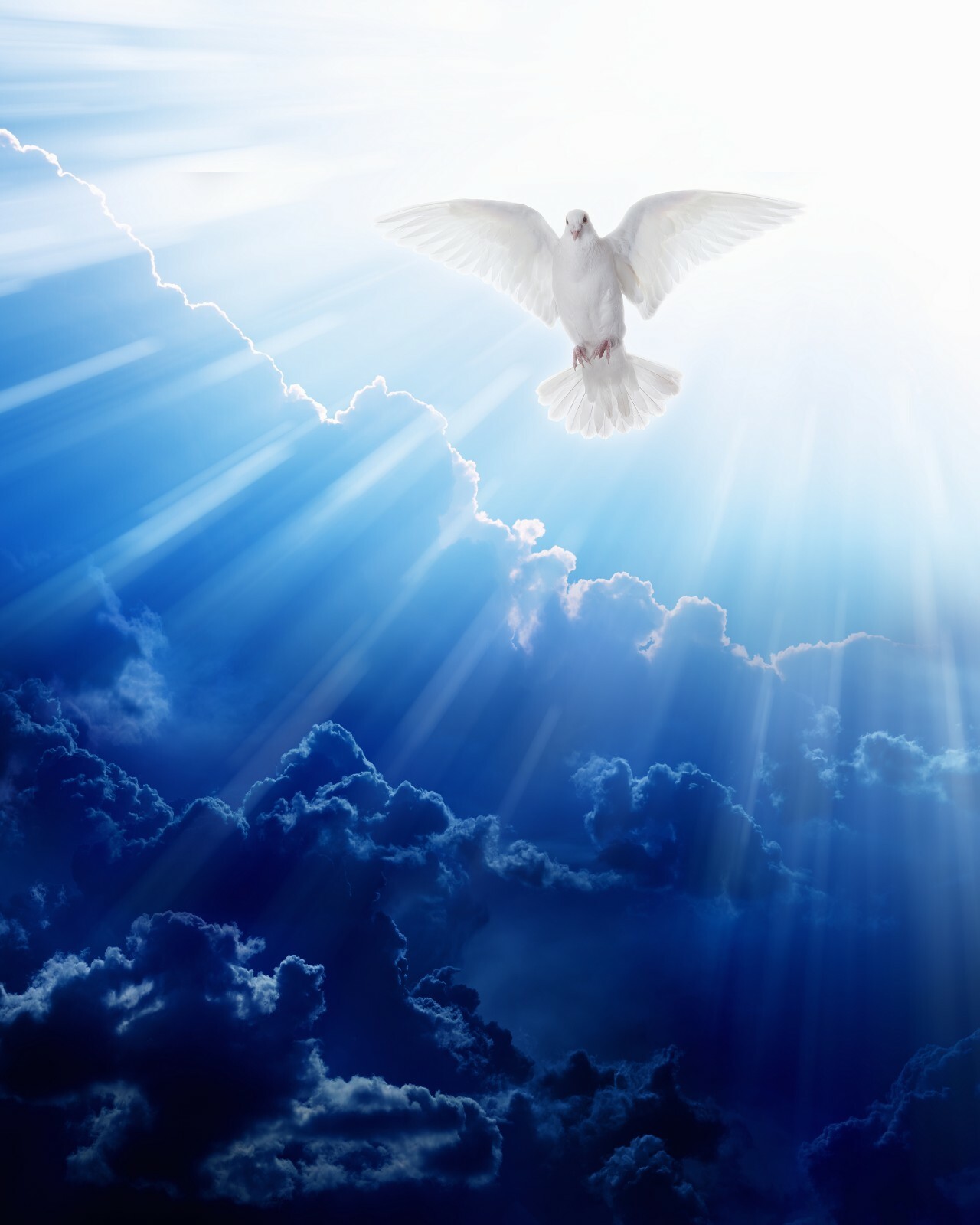 Catholic print picture-  HOLY SPIRIT SH2  -   8\