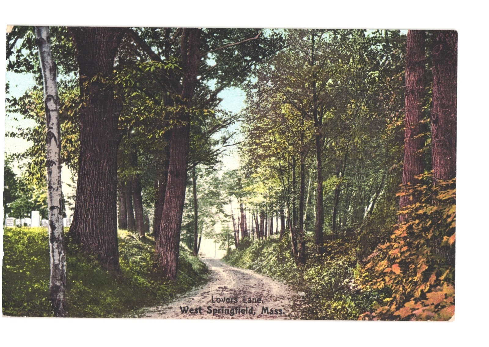 Springfield Mass Lovers Lane Woods Dirt Road Trees Germany Postcard A 7657 Ne... Springfield Mass Lovers Lane Woods Dirt Road Trees Germany Postcard A 7657 Ne...